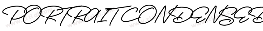 PORTRAIT CONDENSED字体转换